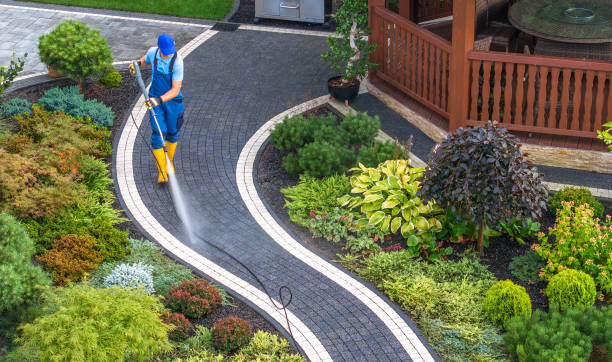 Best Pressure Washing Contractors  in Sherman, TX